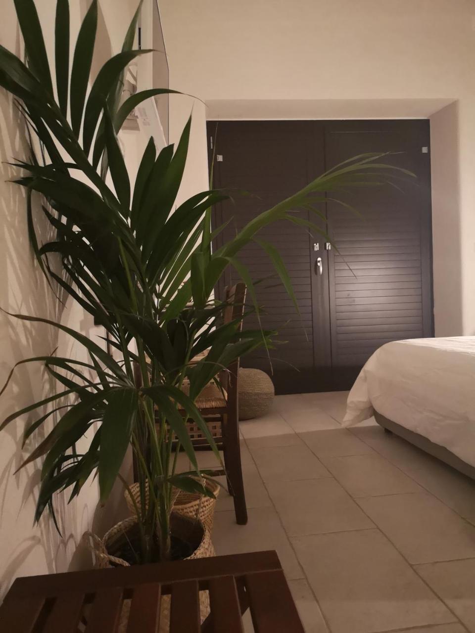 B&B Villa Rosalia Procida Kültér fotó
