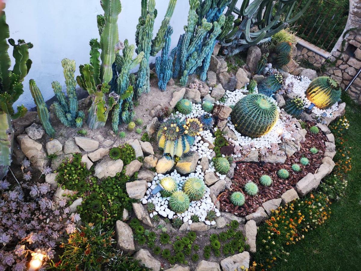 B&B Villa Rosalia Procida Kültér fotó